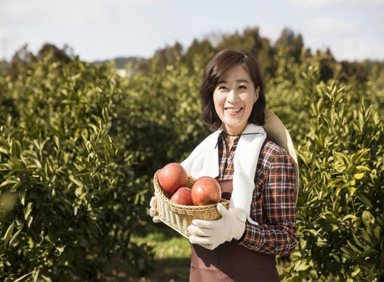 【潤康】磨煤機磨輥與您分享：互聯(lián)網(wǎng)巨頭紛紛賣菜<div   id=